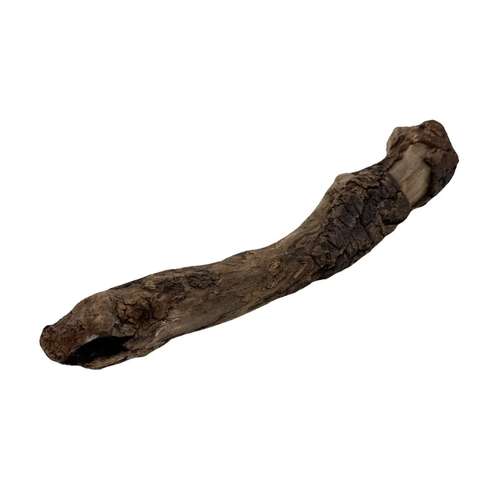 Curved California Coast Driftwood Branch – Sinuous Form 19” Natural Wood